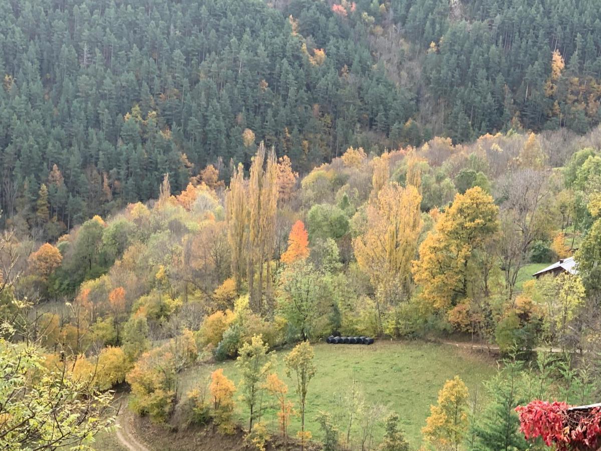 Casa Rural Pirineu Neva Dış mekan fotoğraf