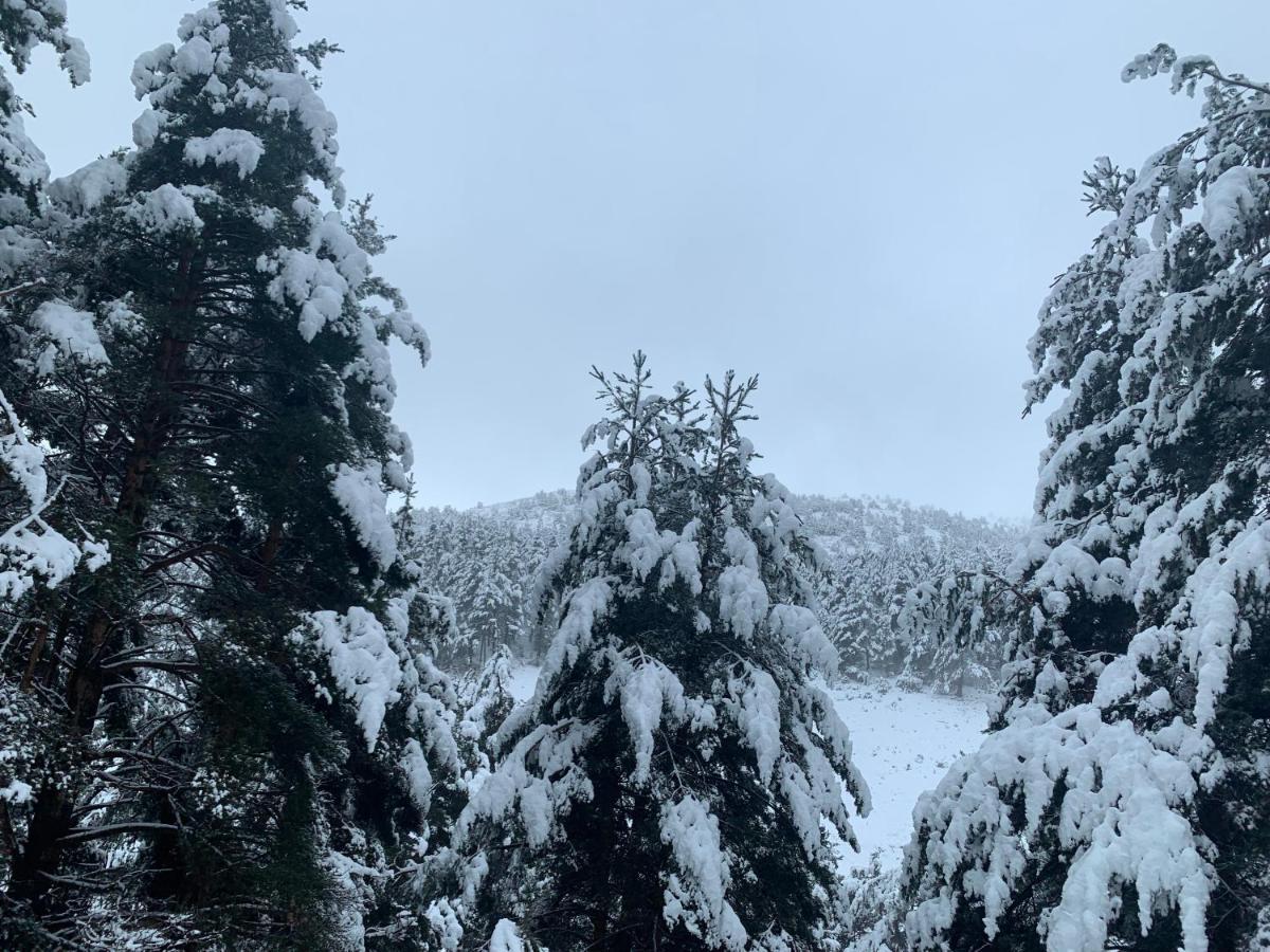Casa Rural Pirineu Neva Dış mekan fotoğraf
