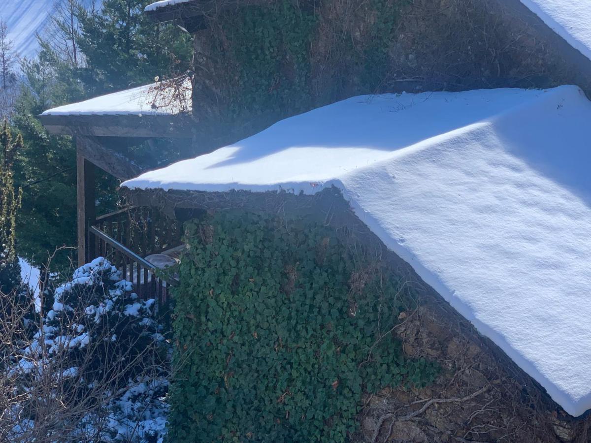 Casa Rural Pirineu Neva Dış mekan fotoğraf